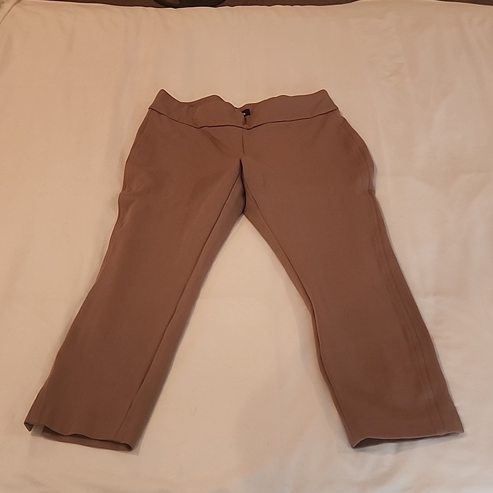 Ankle length skinny leg dress pants